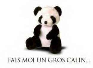 Un calin ...